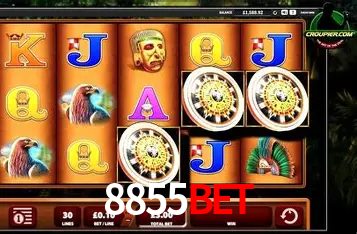 Apostas Esportivas na 8855BET: Um Guia Completo
