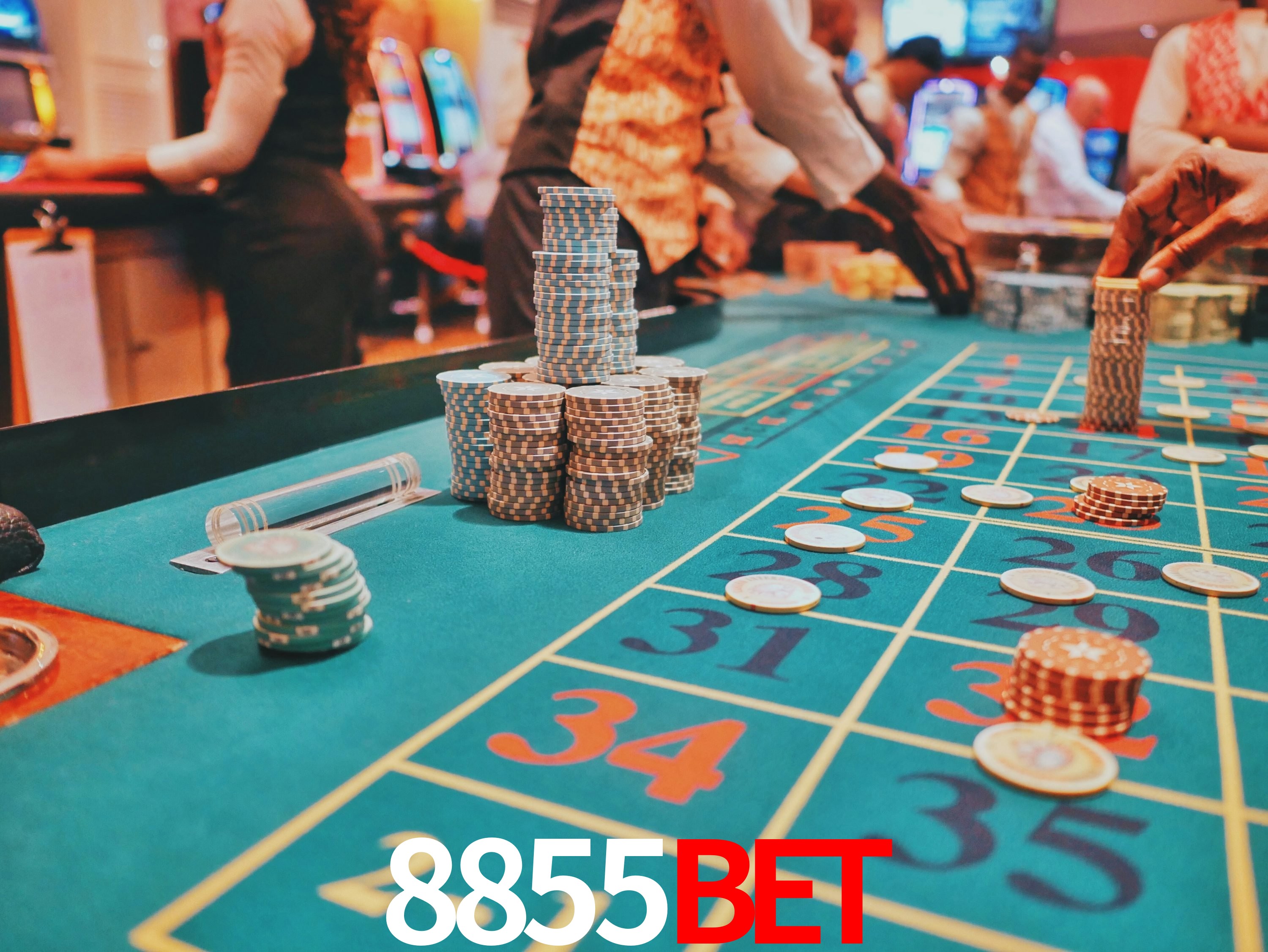 Programa VIP 8855BET